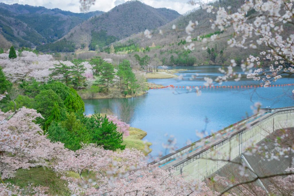 🏞️ 오노 댐(오노 다무) 이미지 8